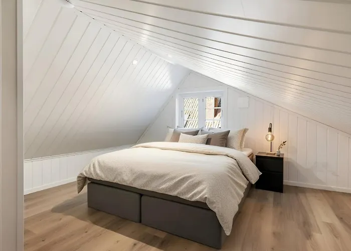 Historic House With Sunny Terrace Daire Bergen